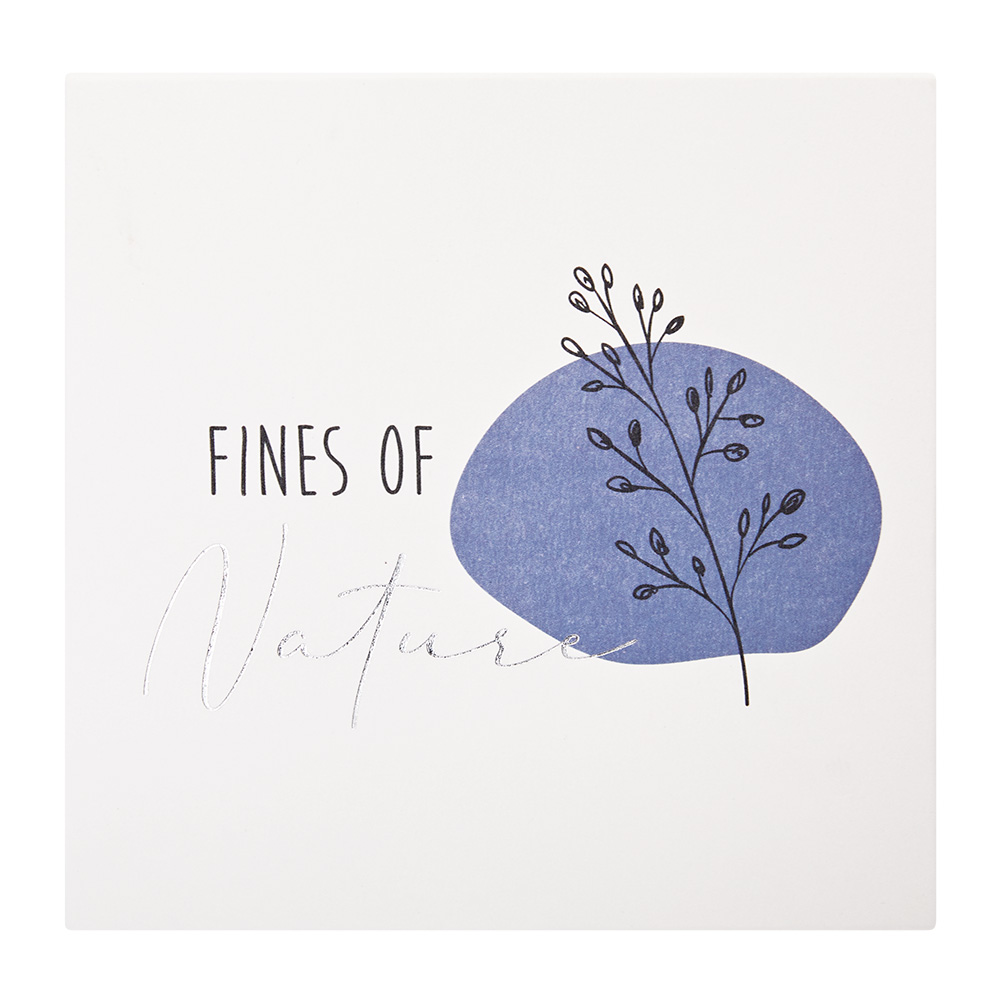 Geschenkset - "Fines of nature" - versilbert - Blauer Sodalith