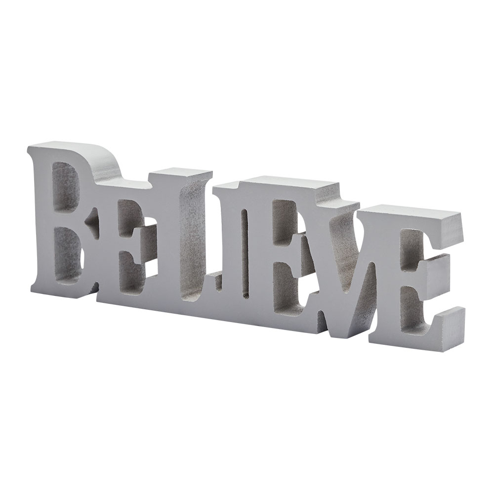 Schriftzug - grau - Believe